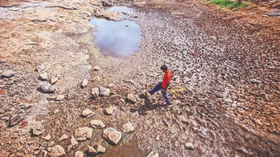 Northwest India turned drier, south wetter over 70 years, finds IMD study