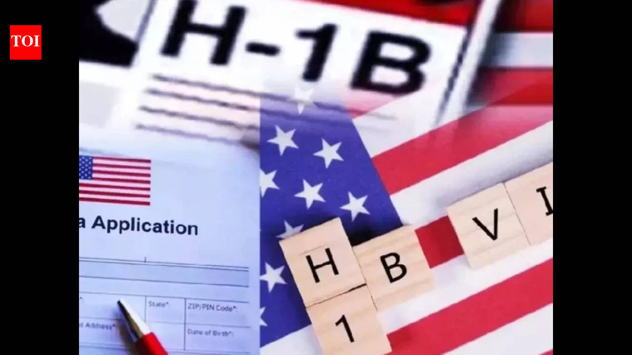 Laid off on H-1B, 1 interview after 100 applications: Redditor shares harrowing job situation in US