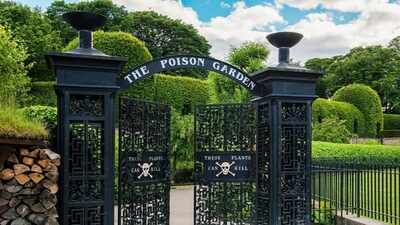 Inside England’s Alnwick Poison Garden, hundreds of dangerous plants grow behind locked gates, and visitors are warned not to touch, smell or taste them