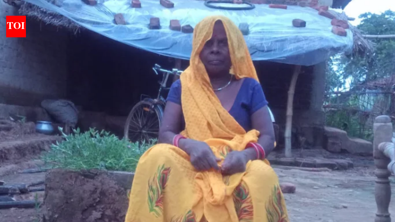 Woman on protest against power plants dies, admin says death not linked ...