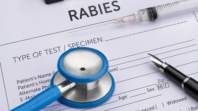 450 people in Gorakhpur receive anti-rabies shots after consuming charanamrit made from suspected rabid cow’s milk; Hyderabad doctor explains whether rabies can spread through milk and when vaccination is necessary