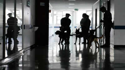 US military has a 'dog problem' that goes to Europe, Palmer Luckey has a plan to solve it: Genetically engineered clone dogs of …