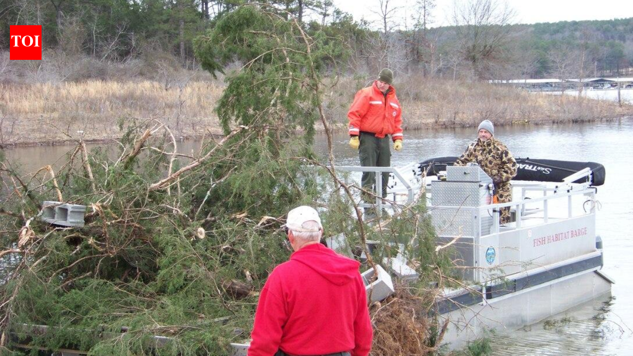 Nebraska workers sink 150 trees in two lakes to create underwater shelter for young fish