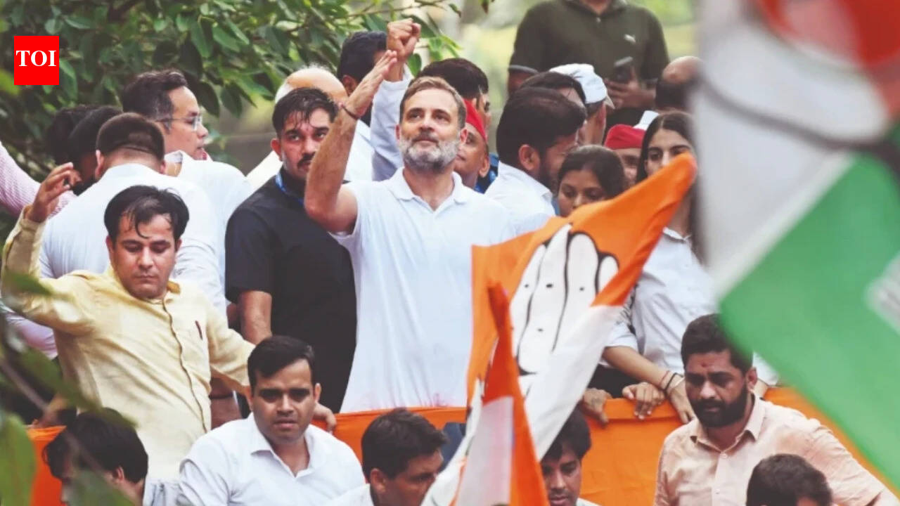 'Already suffered losses': Traders' body urges Rahul Gandhi to defer Delhi rally