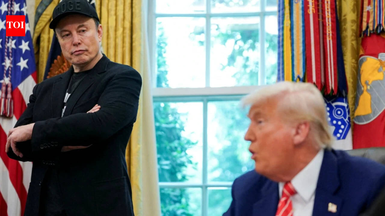 ‘Largest ever’: Elon Musk donates $443m to Trump's campaign ahead of US midterms