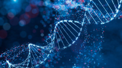 Most people may have a high genetic risk for diseases such as diabetes, heart disease and schizophrenia, study finds