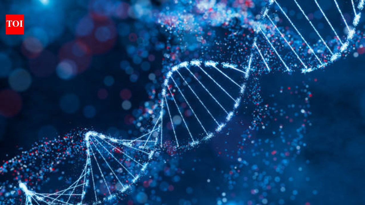 Most people may have a high genetic risk for diseases such as diabetes, heart disease and schizophrenia, study finds