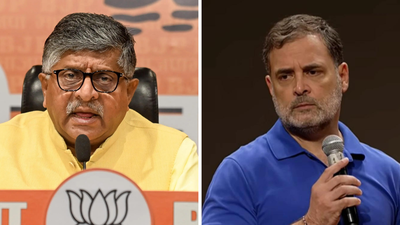 'Rubbing salt into wounds': BJP targets Rahul over Nov 1 rally, recalls 1984 anti-Sikh riots
