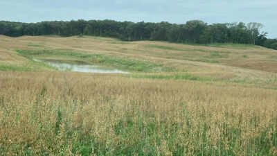Iowa has begun a $4.9 million effort to reclaim 150 acres of abandoned coal mines, where dangerous embankments and acidic soils remain; the state says earlier work has already restored 7,195 acres