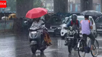 IMD issues heavy to very heavy rain in Tamil Nadu; red alert for Nilgiris, orange alert for 9 districts