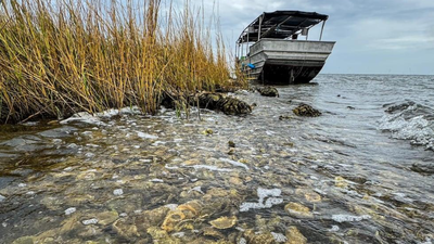 Louisiana volunteers used 200 tons of discarded oyster shells to build a 400-foot barrier near an Indigenous village; two years later, live oyster density jumped from 52 to 130 per square metre