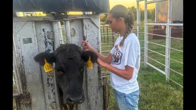 Meet Locklyn Raye Ward, the Oklahoma eighth-grader who tested 24 wild plants from her family's farm and found 56% showed antibacterial activity, though none beat antibiotics