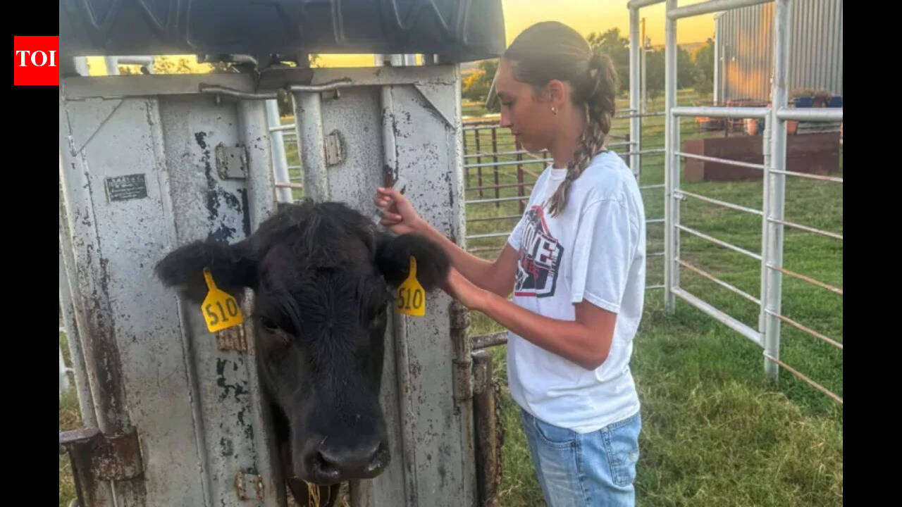 Oklahoma 8th-grader finds 56% of wild plants show antibacterial activity