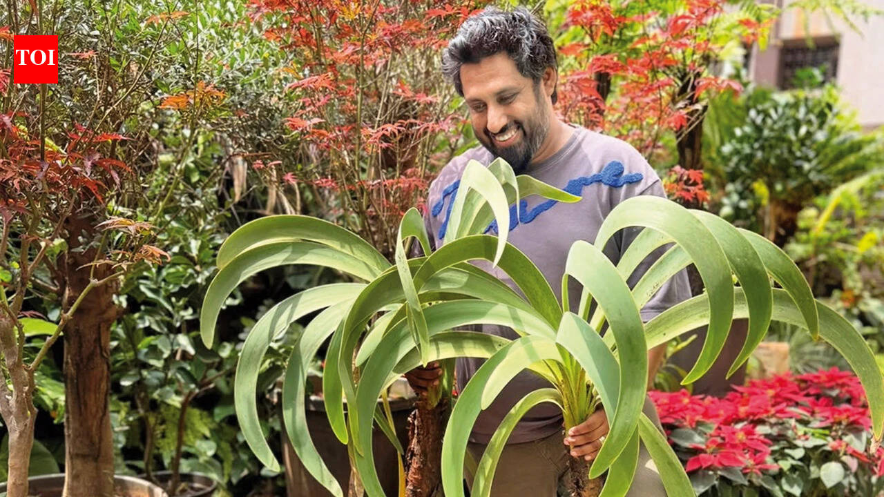 Inside India’s rare plant craze