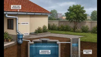 Rainwater harvesting drive: Coimbatore corporation to rejuvenate waterbodies