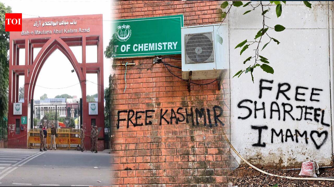 Tensions Rise At Jamia As ‘Free Kashmir’ Slogans Trigger Row Amid ...