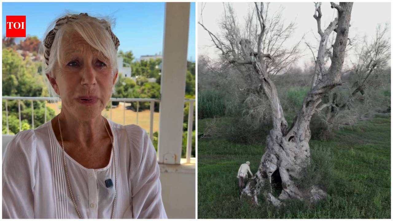 Helen Mirren, 81, is on a mission to save Italy’s 1,500-year-old olive trees from deadly bacteria