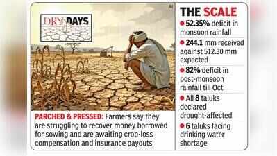 Haveri reels under 386cr crop loss
