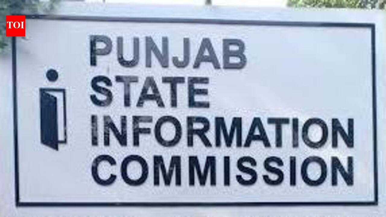 Can't use RTI to settle personal scores, says Punjab info panel
