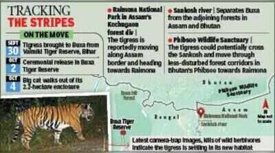 Three weeks after release, Buxa tigress ventures towards Assam