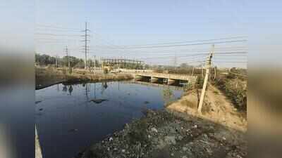 ₹800cr Budha Dariya cleaning project clogged by continued dung dumping