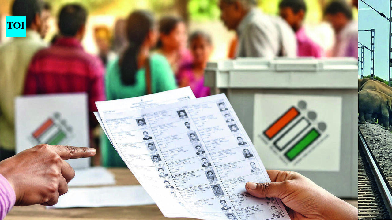 13 voters listed as Vikas Yadav in Azamgarh, 9 poll staff face action over anomalies