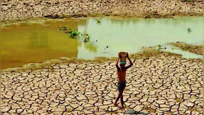 Amid drought, Maharashtra launches silage scheme to protect dairy farmers in Marathwada and Vidarbha