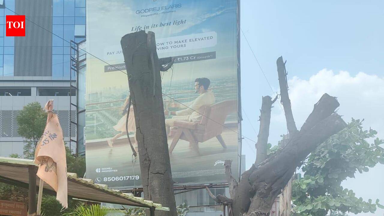 45 of 109 trees transplanted in Koregaon Park Annexe dead, admits PMC, citizens say entire process mishandled