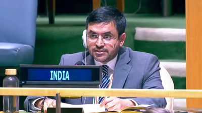‘Prioritise welfare over military directives’: India raps Pak on minority rights at UN
