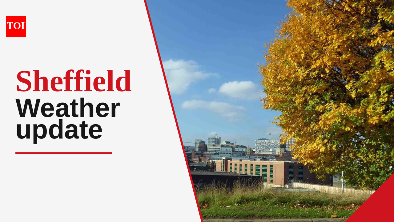 Sheffield Weather Forecast: Cool temperatures and possible light ...