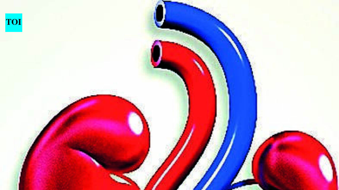 One in four tribal adults in Odisha has impaired kidney function