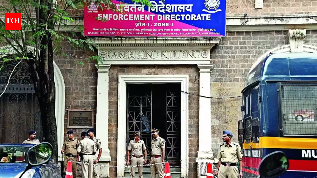 Advocate arrested at Mumbai airport in Rs 28,000 crore pan-India cyber fraud case