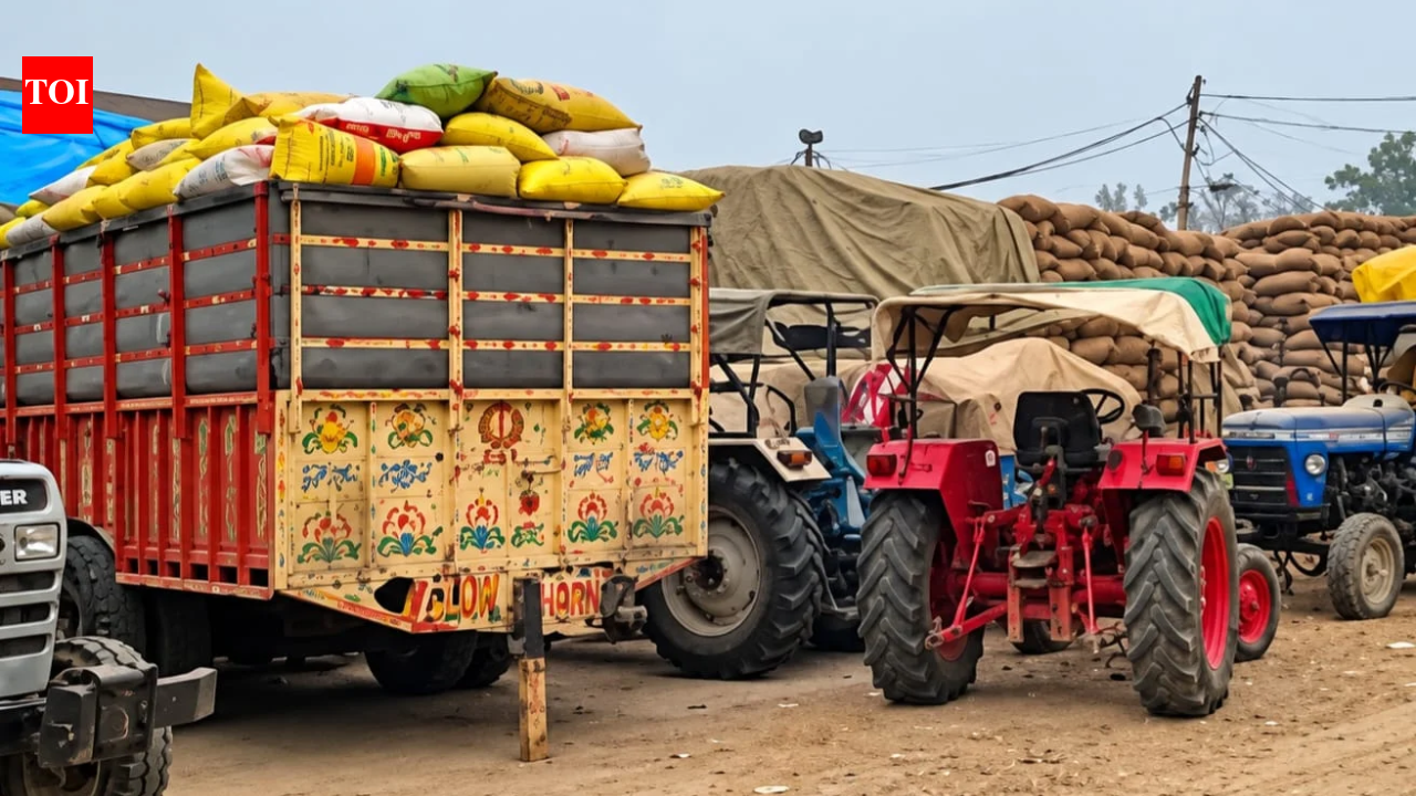 Terai paddy farmers face mounting procurement crisis
