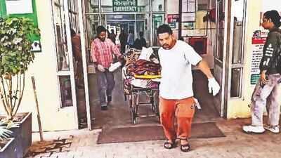 Severed hand delivered to shop: How a remark about sister  led to grisly murder