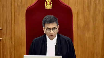 'Too deferential to govt': Former SC judge questions ex-CJI Chandrachud’s approach to appointments