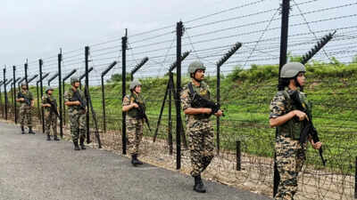 BSF apprehends four Pakistani fishermen in Kutch, seizes boat