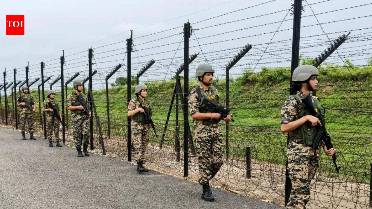 BSF apprehends four Pakistani fishermen in Kutch, seizes boat