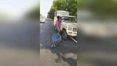 BMC’s spl drive to clear out stray animals from PM’s route