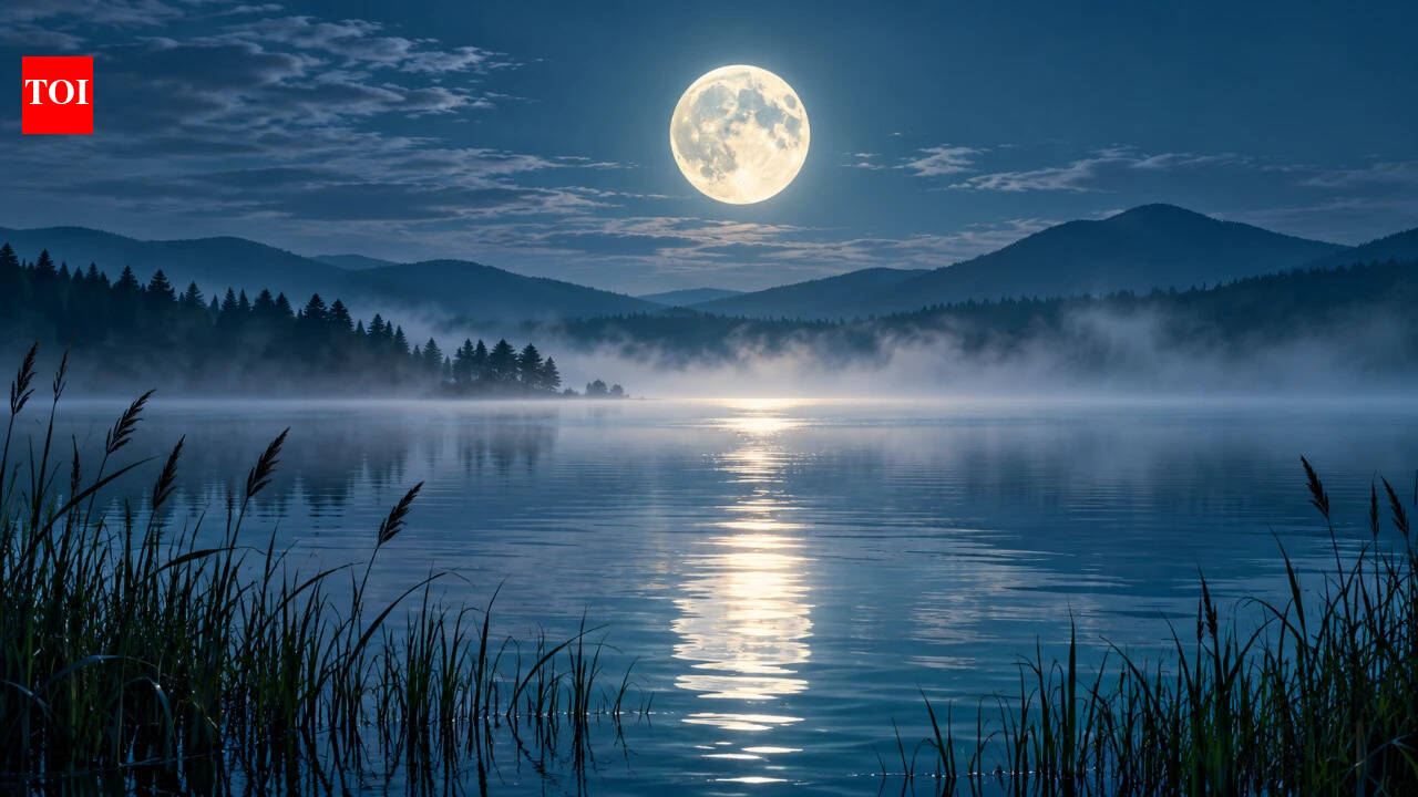 Taurus Full Moon Around October 25–26: These 4 Zodiac Signs May Face ...