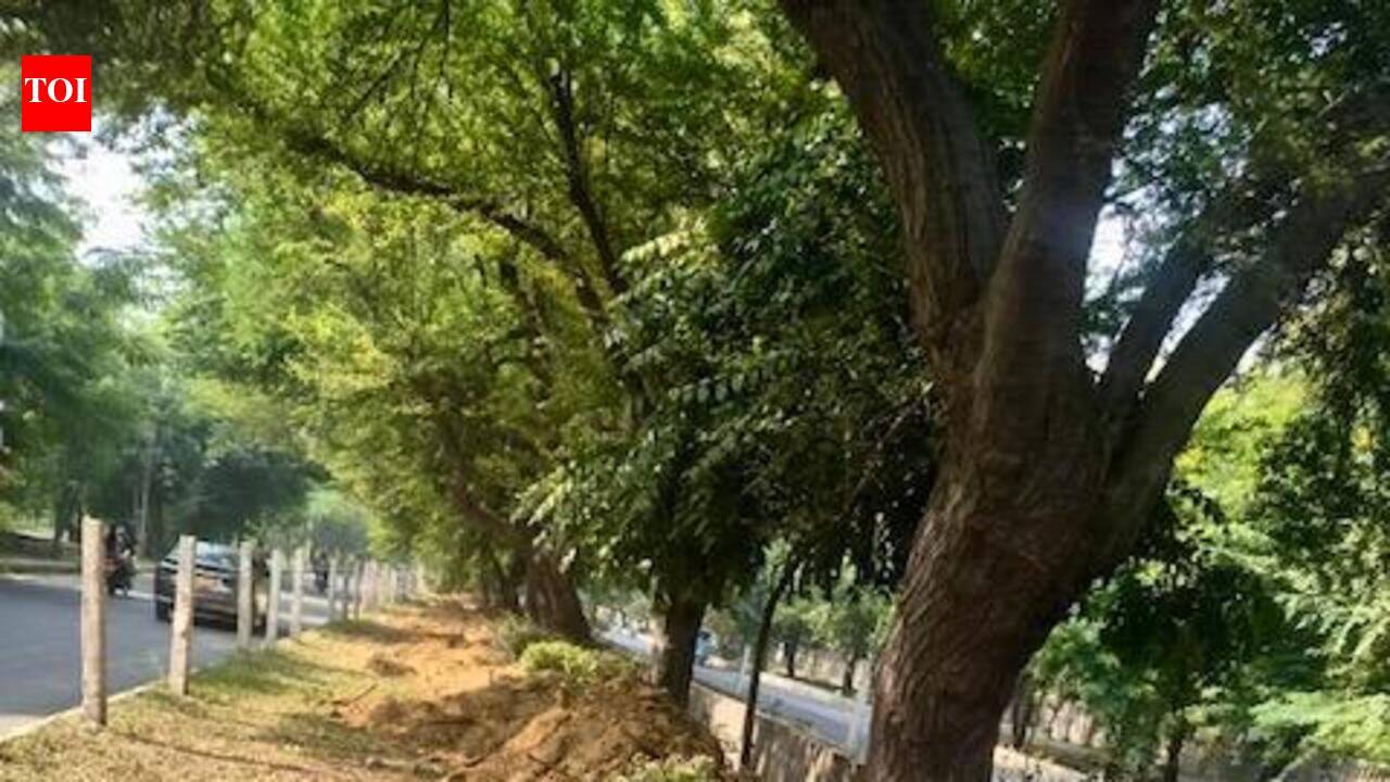 AQI getting worse, but road widening work spews dust in Greater Noida