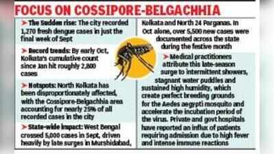 Bengal sees late-season dengue surge, records 5.5k new cases in Oct
