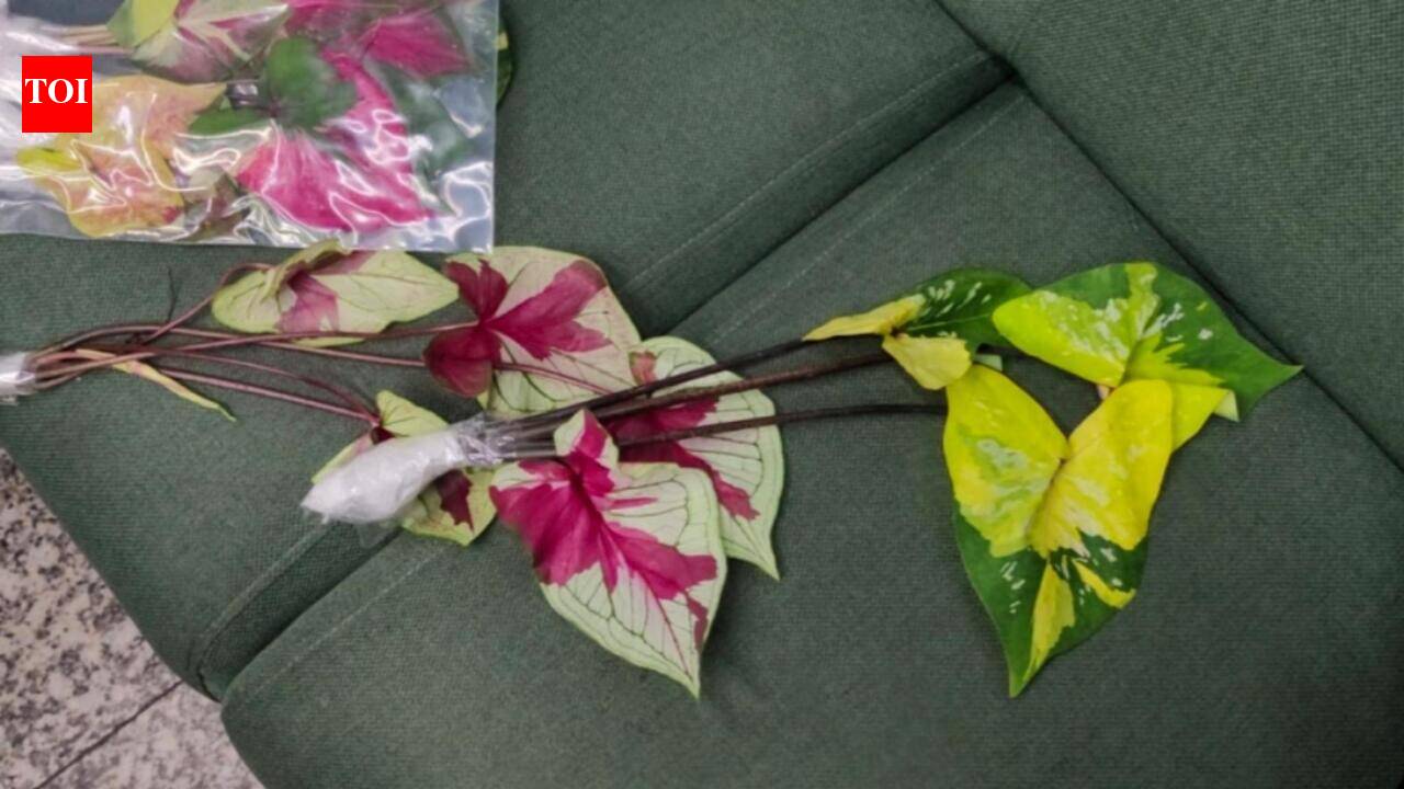 No Import Documents, 220 Plants Seized From Bangkok Flyer At Kolkata Airport