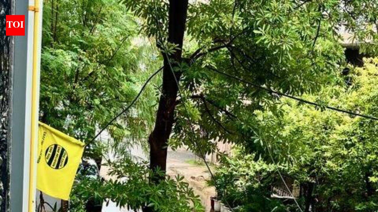 Raised RCCs, clogged drains leave Shalimar Garden pockets flooded