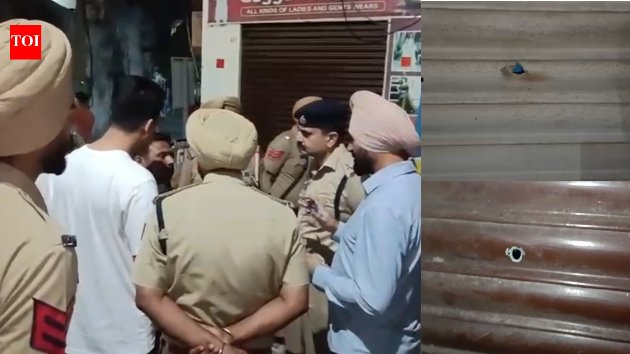 '15-20 rounds fired': 2 killed, 2 injured as assailants open fire outside homes in Punjab
