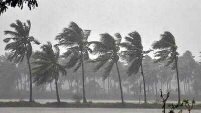 Cyclone Arnab: Schools closed in Tamil Nadu districts, Puducherry and Karaikal on October 26, check complete details here