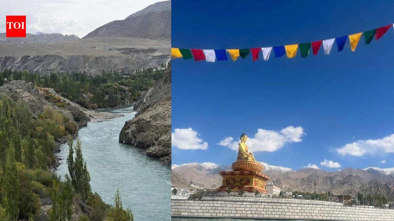 Ladakh becomes India’s first 100% organic UT; farmer certification to ...
