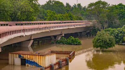 Plan for ‘shadow roads’ linking parks, green spaces for pedestrians in Delhi