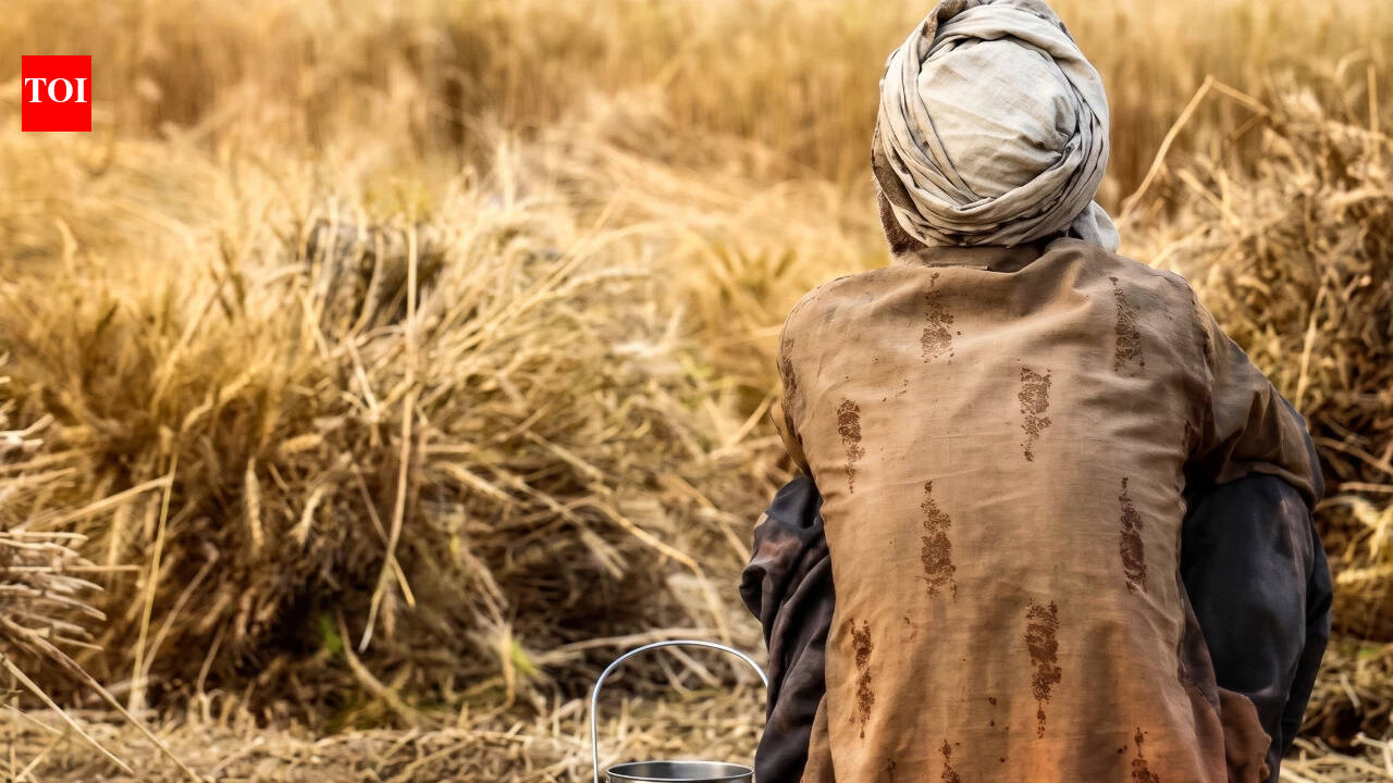 Maharashtra records 13,928 farmer suicides in 54 months, over 8 deaths a day; state withholds district-wise data sought under RTI