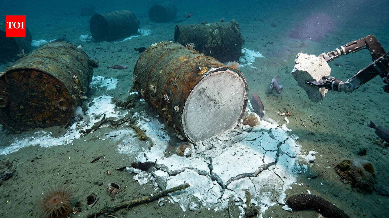 Decades of ocean dumping are 'hardening' the seafloor, and scientists are finding a toxic mess we can't ignore.
