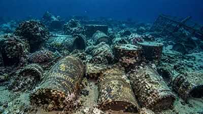At 4,700 metres in the Atlantic, scientists found some of 200,000 ...